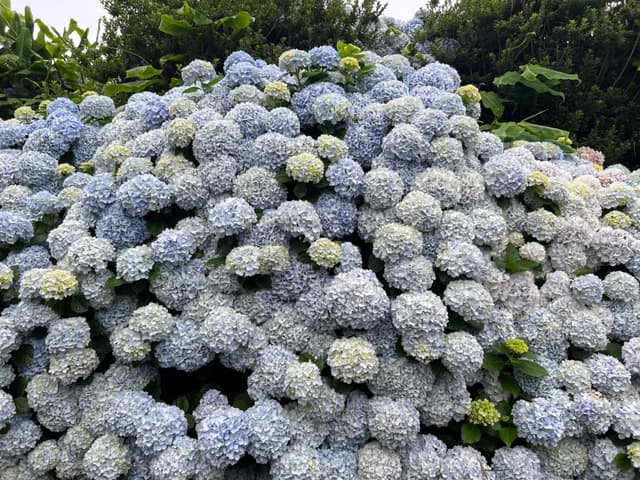 19 JUL 25