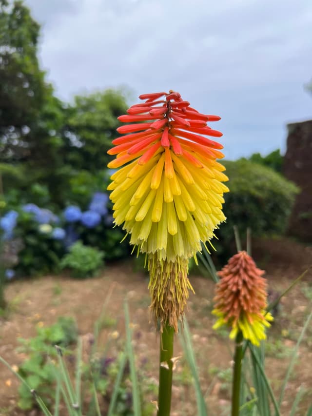21 JUL 25
